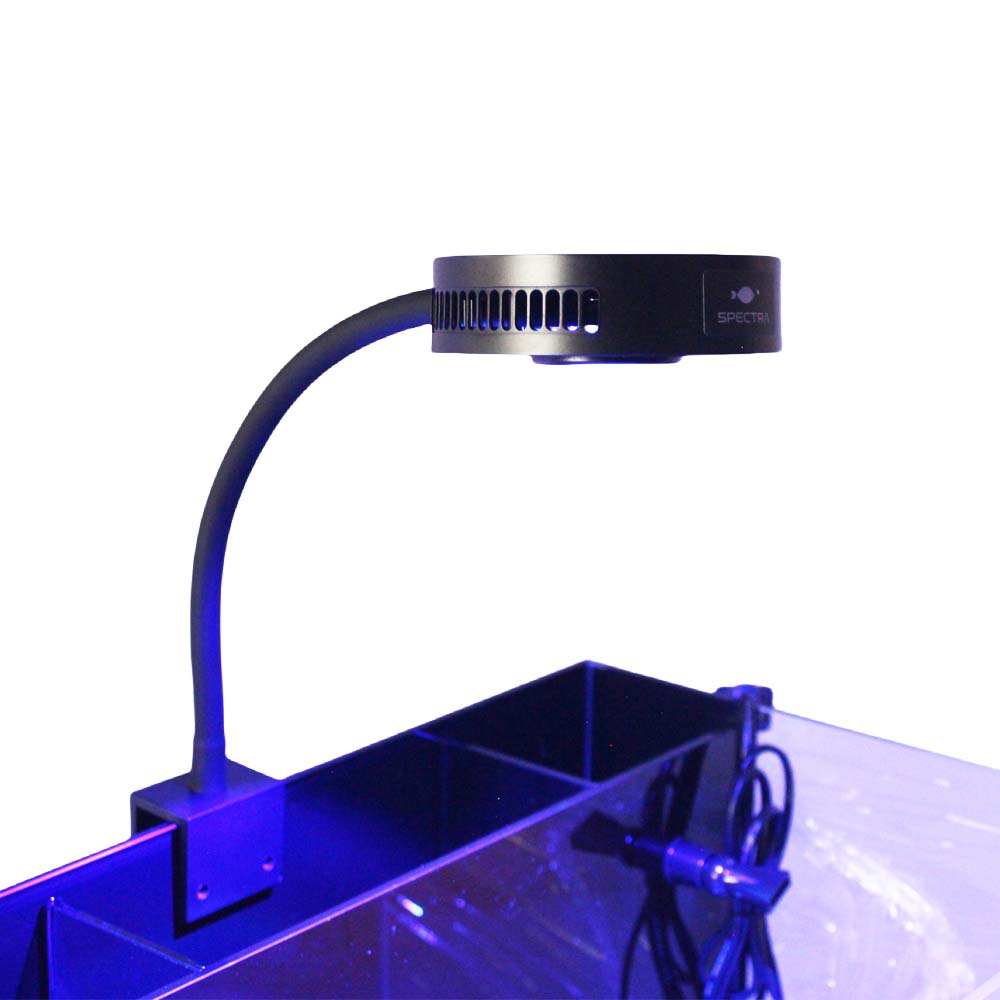 Reef Lighting - Aquaknight V2 Marine Reef Light 36W