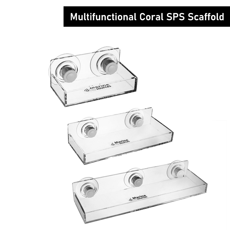 Marine Coral - سقالة مرجانية متعددة الوظائف من مصادر