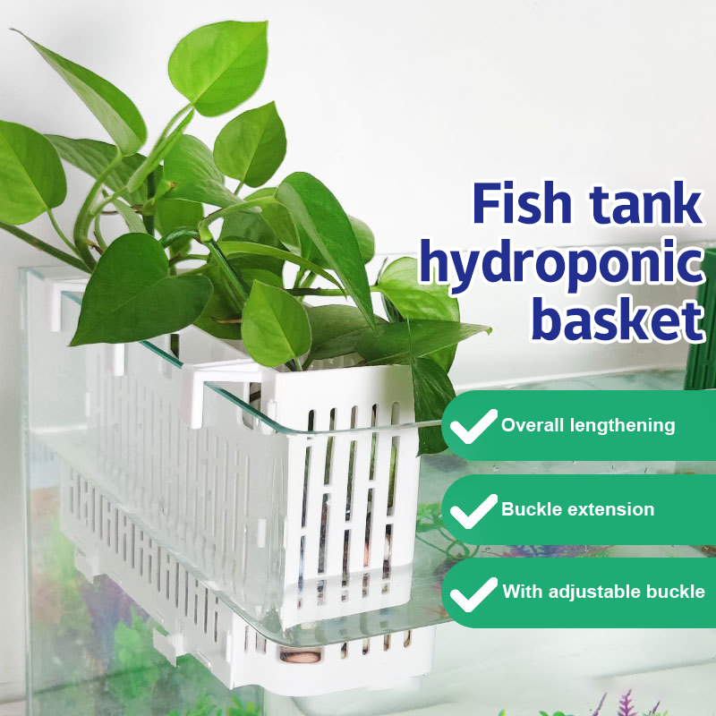 Marine Aquarium - حامل نباتات مائية معلق لحوض السمك،