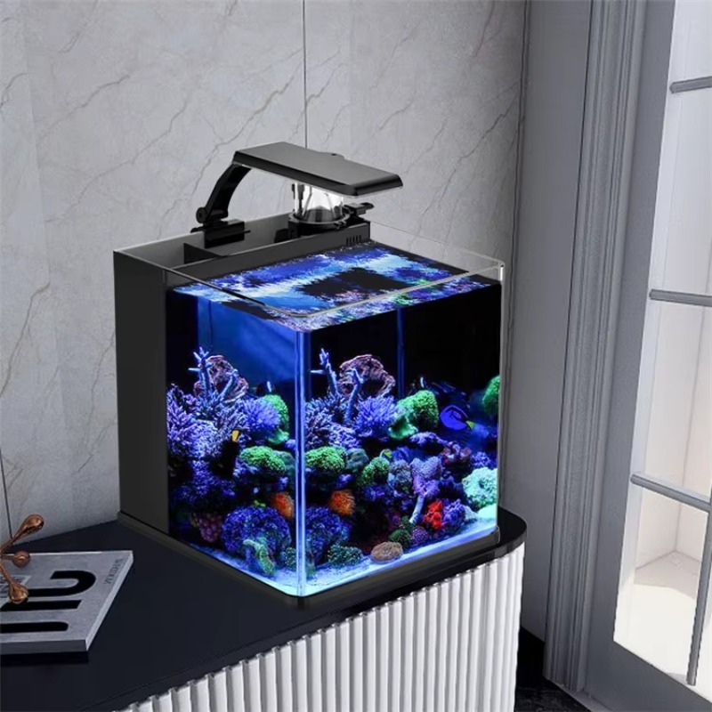 حوض أسماك ميني من الزجاج فائق  - مراجعة Marine Aquarium Cube وسعره