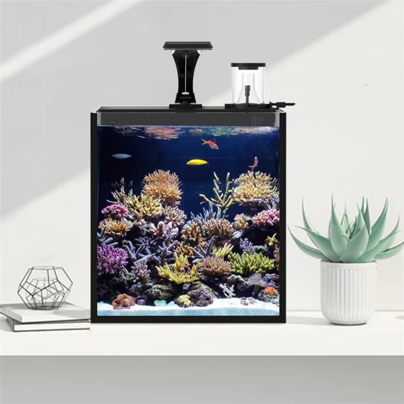 حوض أسماك ميني من الزجاج فائق  - مراجعة Marine Aquarium Cube وسعره