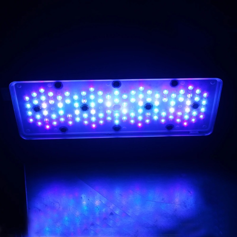 أضواء LED للشعاب المرجانية وال - مراجعة Reef Lighting وسعره