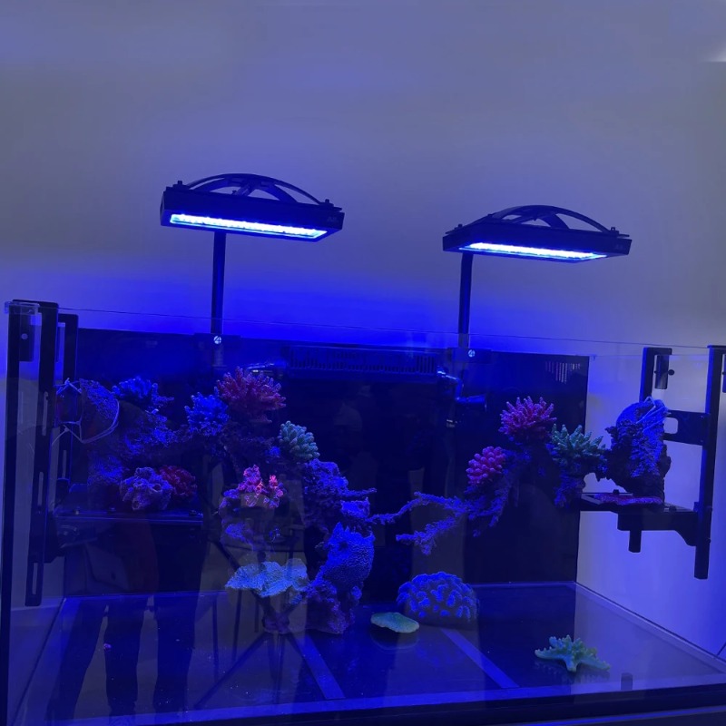 أضواء LED للشعاب المرجانية وال - مراجعة Reef Lighting وسعره