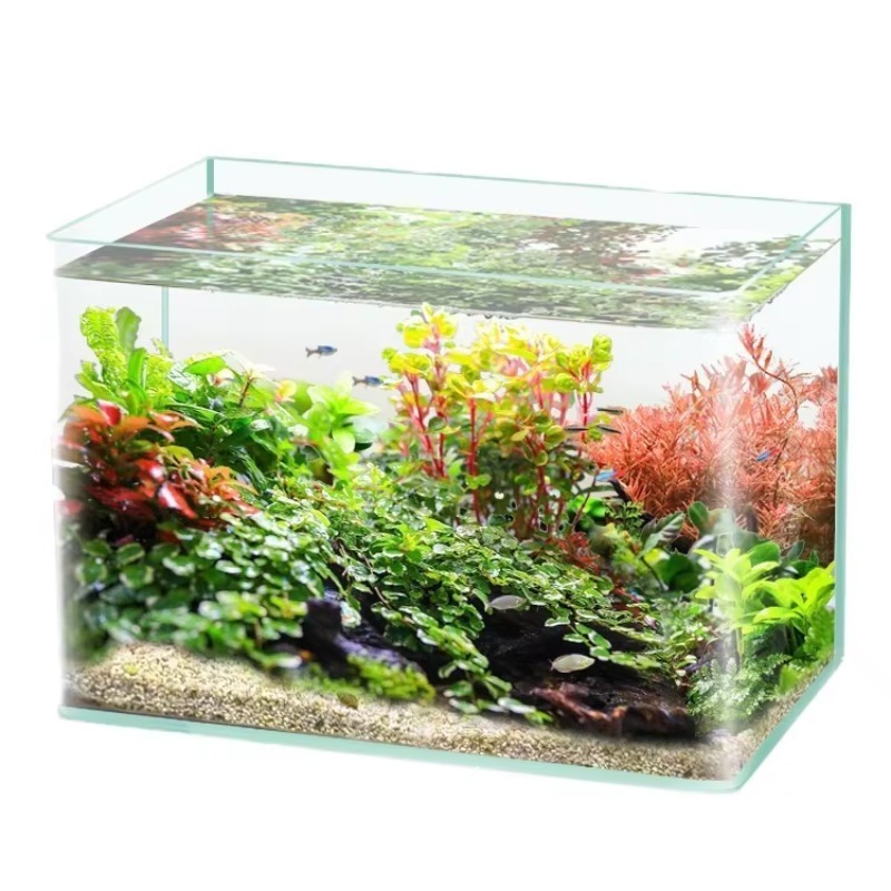 صندوق تعبئة سطح المكتب لحوض ال - مراجعة Saltwater Tank وسعره