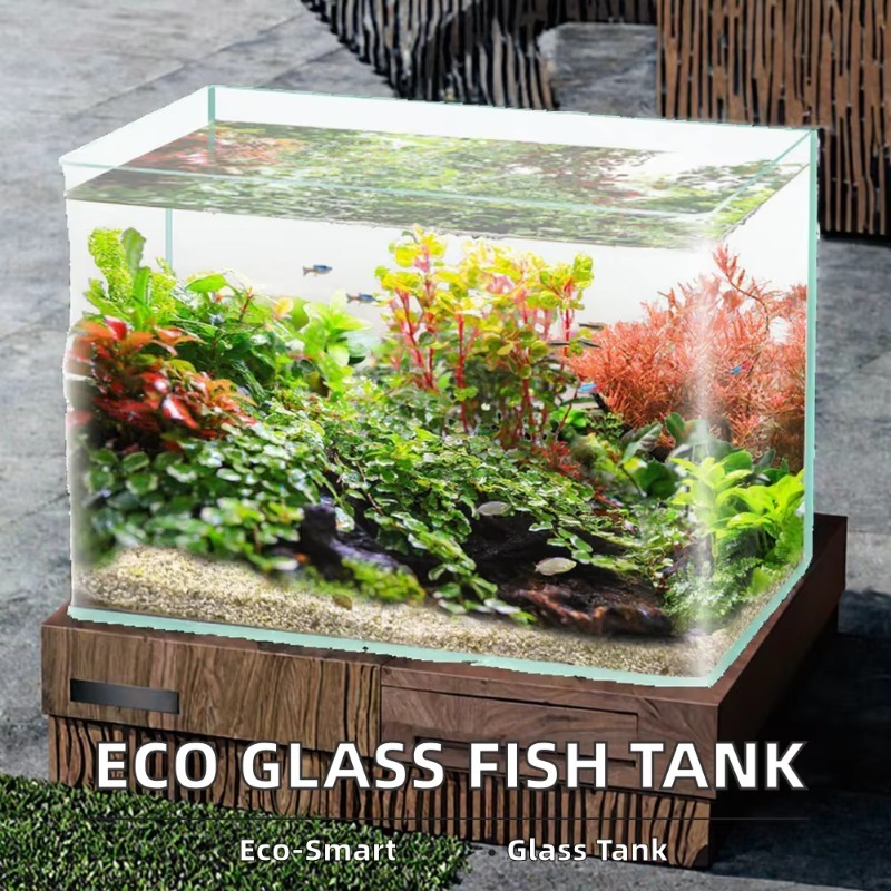 صندوق تعبئة سطح المكتب لحوض ال - مراجعة Saltwater Tank وسعره