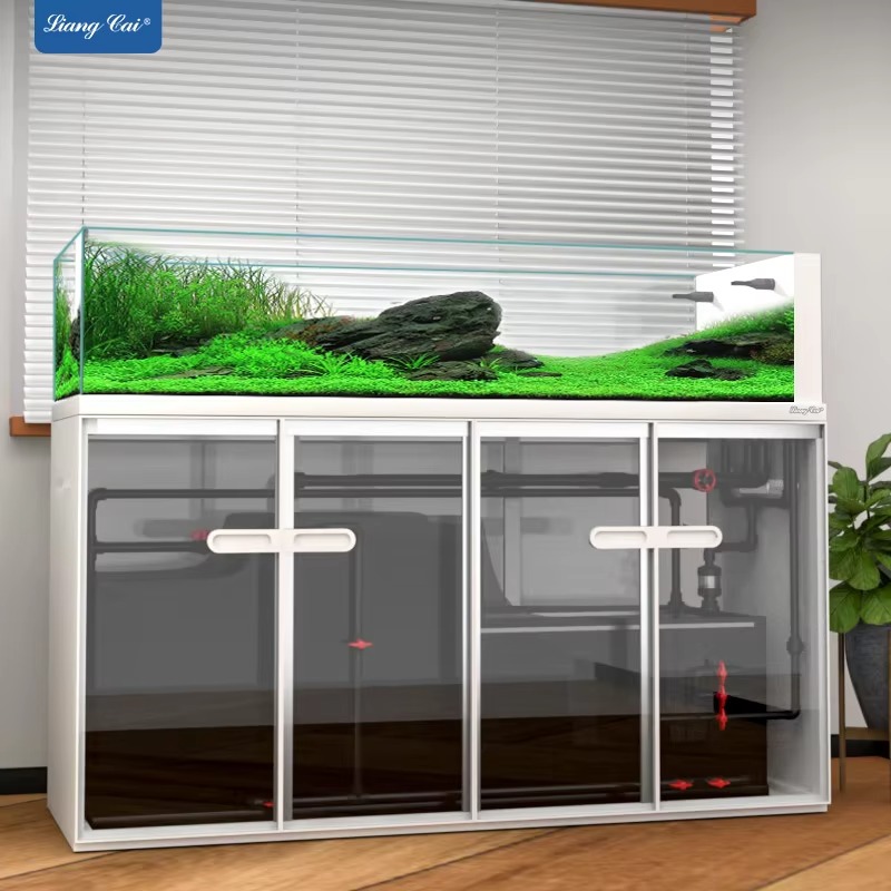 إكسسوارات أحواض السمك: حامل أح - مراجعة Saltwater Tank وسعره