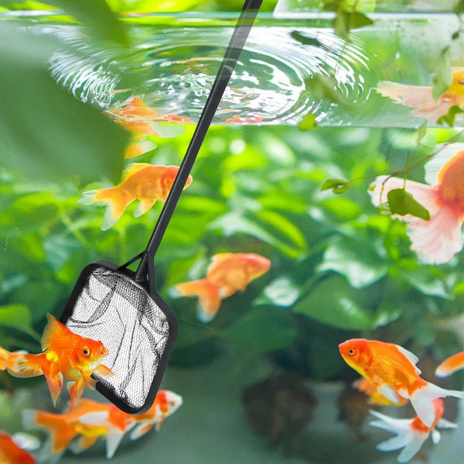 شبكات تنظيف حمامات السباحة، شب - مراجعة Ocean Aquarium وسعره