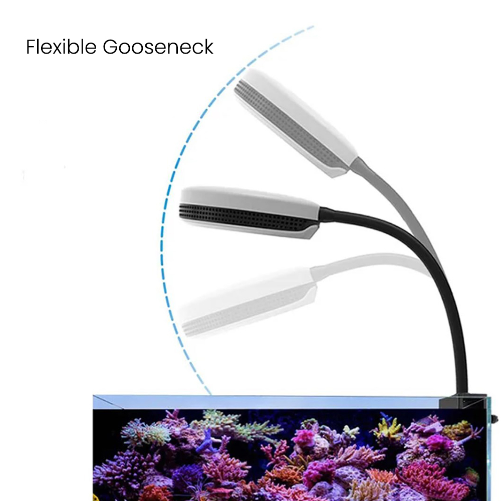 مصباح LED للأحواض المائية سبيك - مراجعة Reef Lighting وسعره
