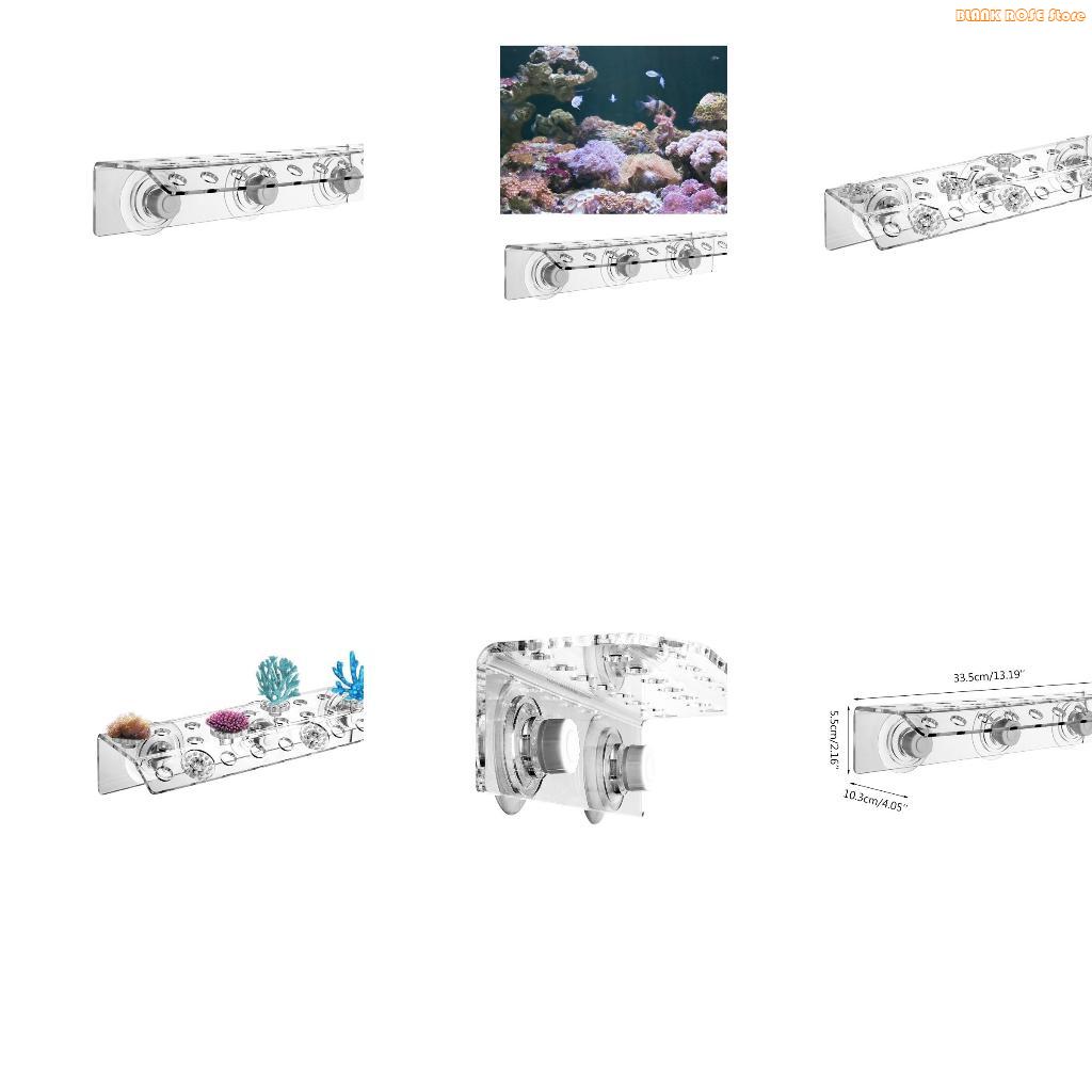 K1AE حامل شظايا مرجاني أكريليك - مراجعة Reef Aquarium وسعره