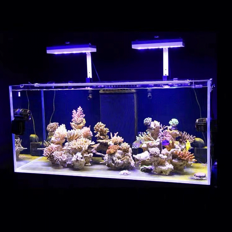إضاءة مائية AI Hydra 32HD/64HD - مراجعة Reef Lighting وسعره