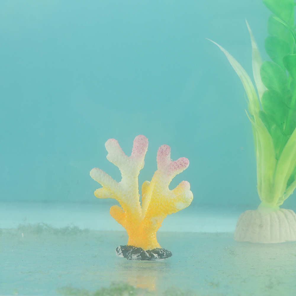 ديكور حوض أسماك المرجان الاصطن - مراجعة Reef Aquarium وسعره