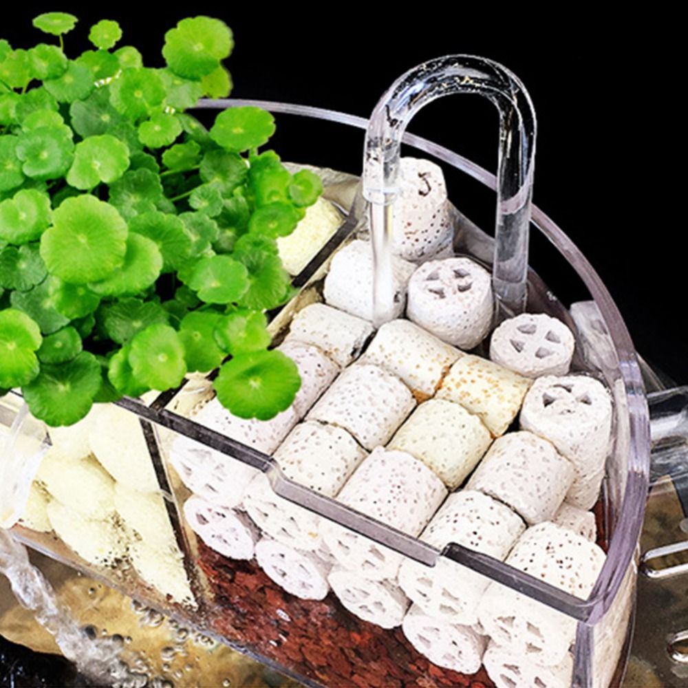 صندوق فلتر خارجي 3 في 1 من الن - مراجعة Reef Tank Filter وسعره