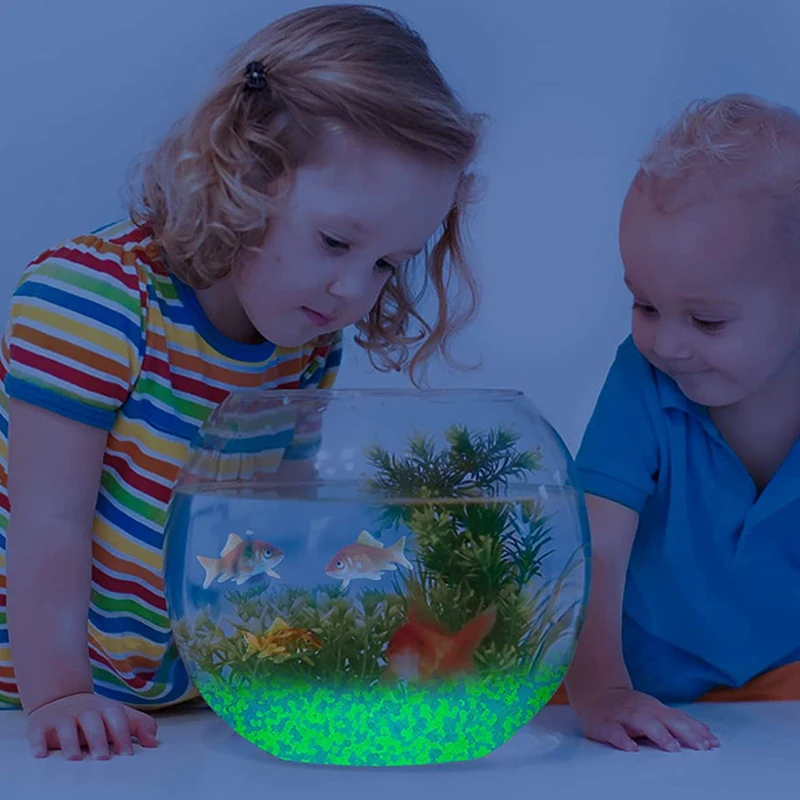 حصى رمال مضيئة في الظلام ، من  - مراجعة Marine Fish Tank وسعره