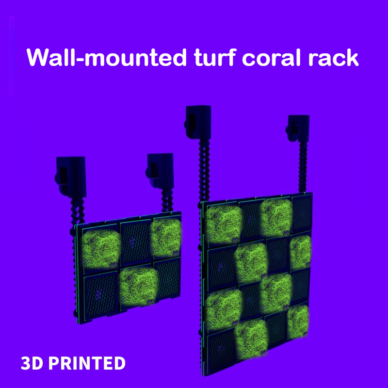 حامل مرجان للأحواض المائية الم - مراجعة Saltwater Tank وسعره