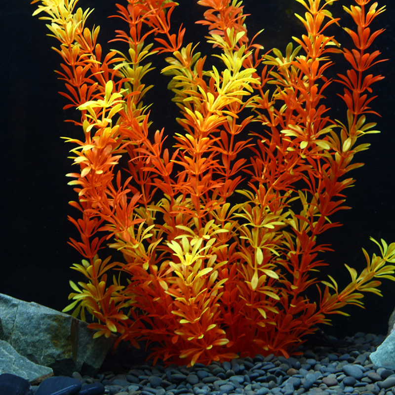 نباتات استوائية اصطناعية بطول  - مراجعة Marine Fish Tank وسعره