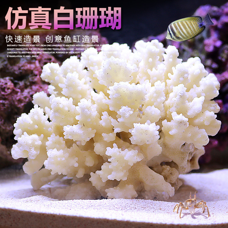 مجموعة تنسيق حوض السمك الصغير  - مراجعة Marine Aquarium Epoxy وسعره