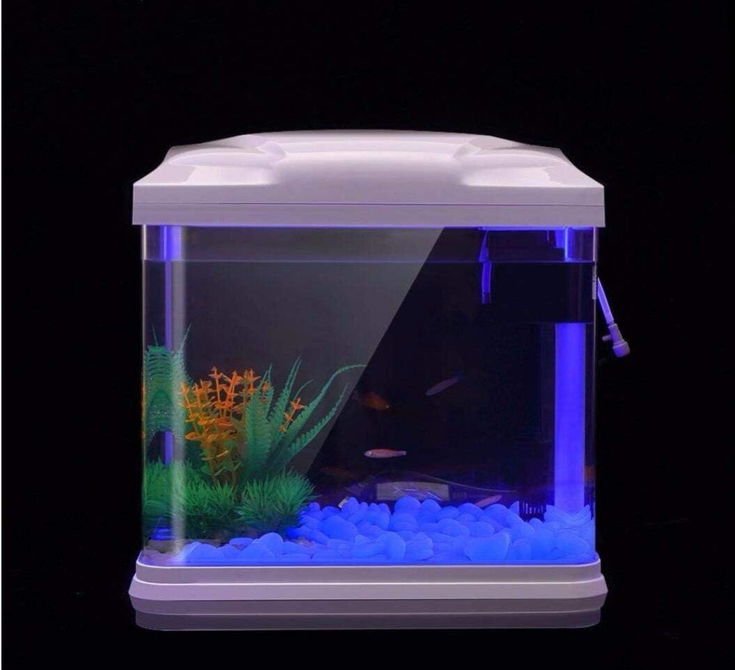 حوض السمك الصخور توهج الحصى ال - مراجعة Ocean Aquarium وسعره