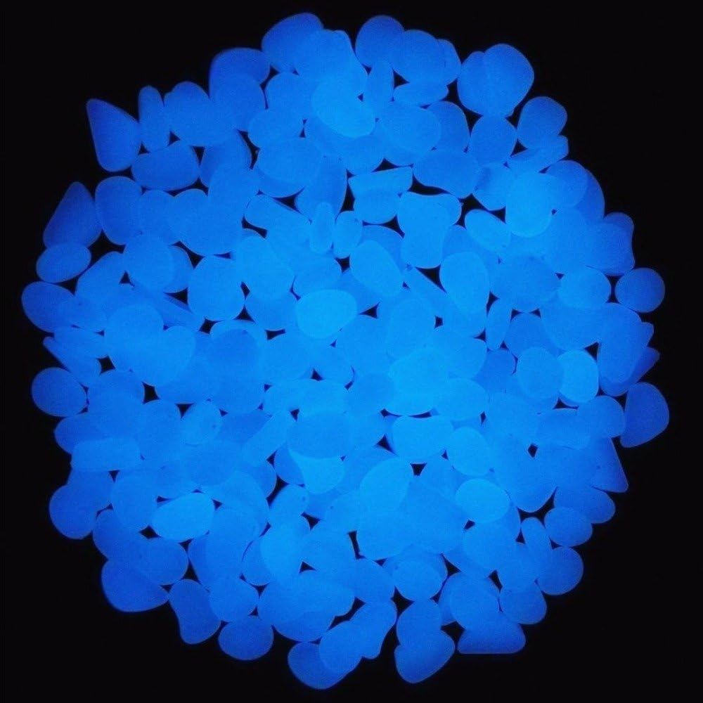 حوض السمك الصخور توهج الحصى ال - مراجعة Ocean Aquarium وسعره