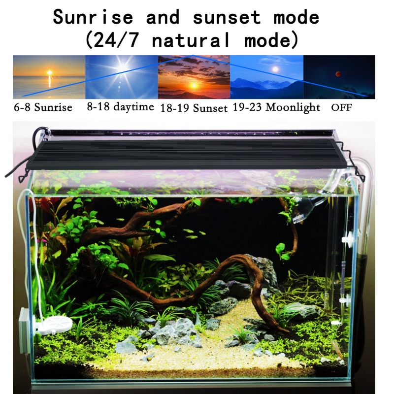 إضاءة LED لأحواض السمك بطيف كا - مراجعة Reef Lighting وسعره