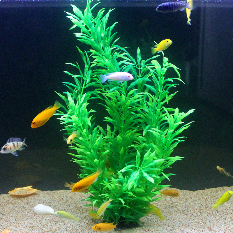 نباتات اصطناعية نادرة لأحواض ا - مراجعة Marine Fish Tank وسعره