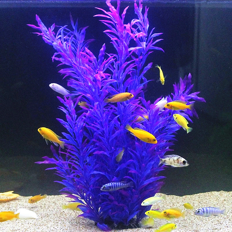 نباتات اصطناعية نادرة لأحواض ا - مراجعة Marine Fish Tank وسعره