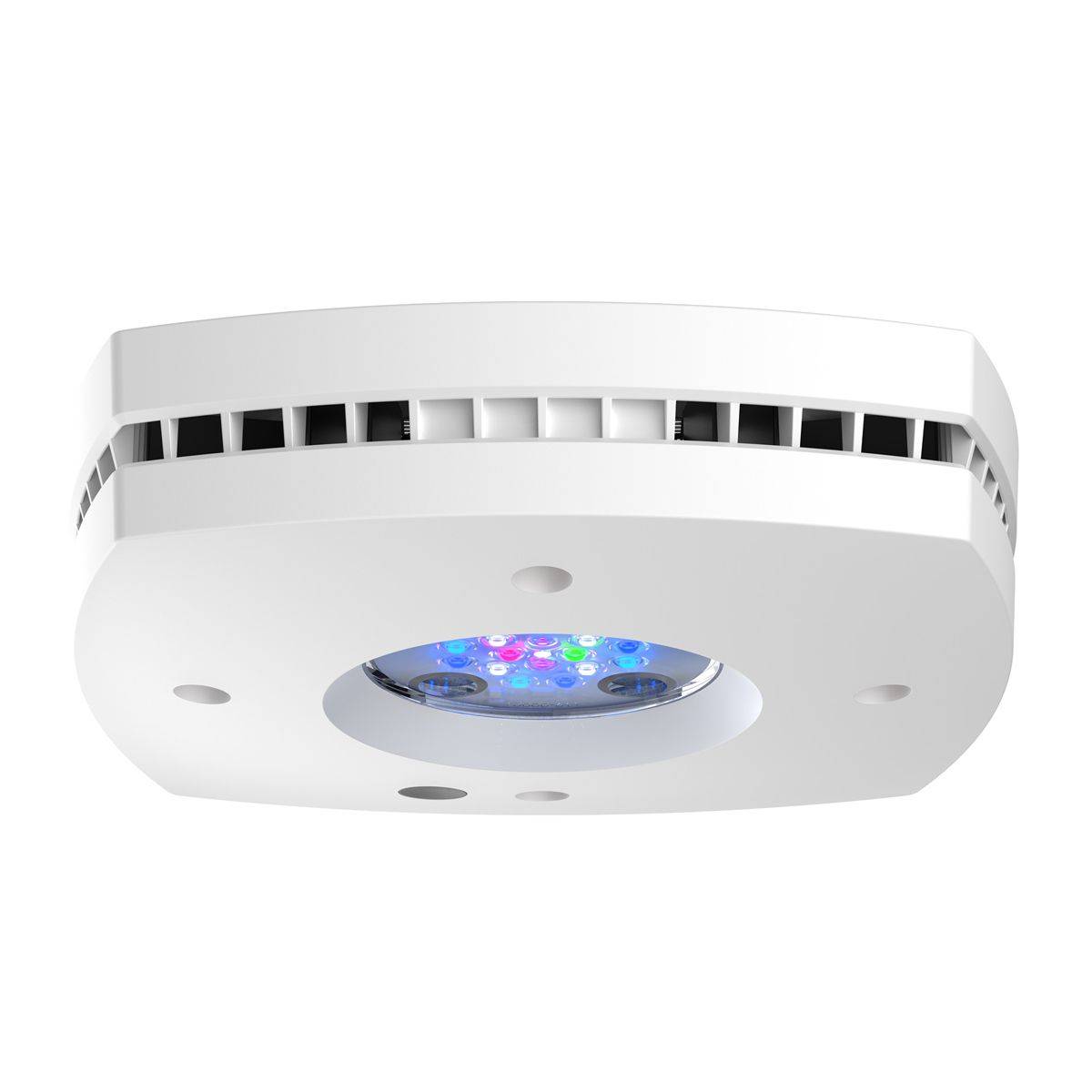 مصباح الشعاب المرجانية LED عال - مراجعة Reef Lighting وسعره