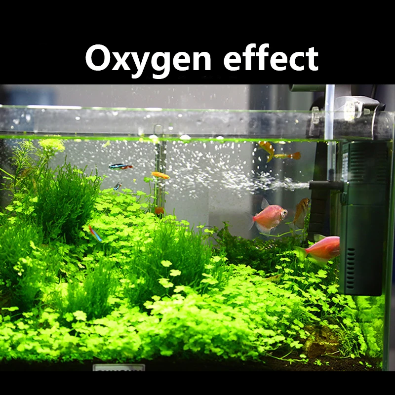 مضخة أوكسجين داخلي نانو صغيرة  - مراجعة Reef Tank Filter وسعره